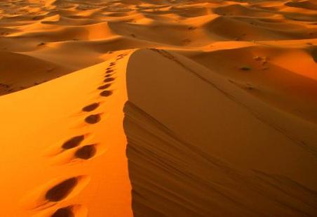 morocco-sahara-desert